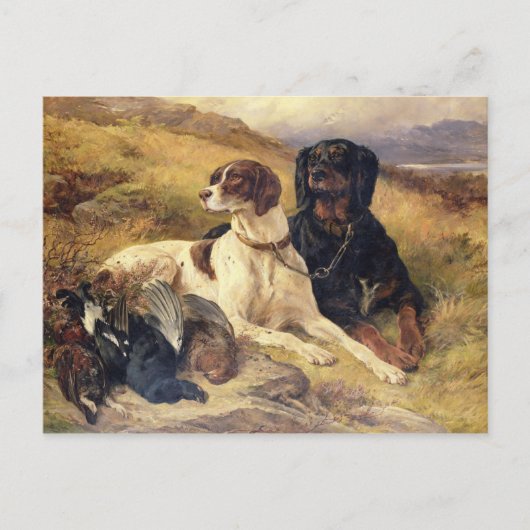 D.銃の提供 ポストカード (正面)