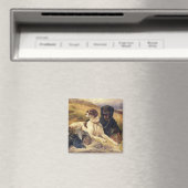 D.銃の提供 マグネット (インサイチュ (食洗機))