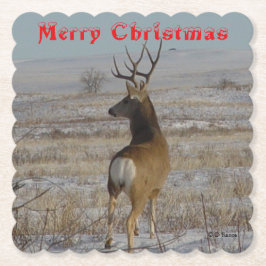 D 20 Mule Deer Buck in Snow Coaster ペーパーコースター