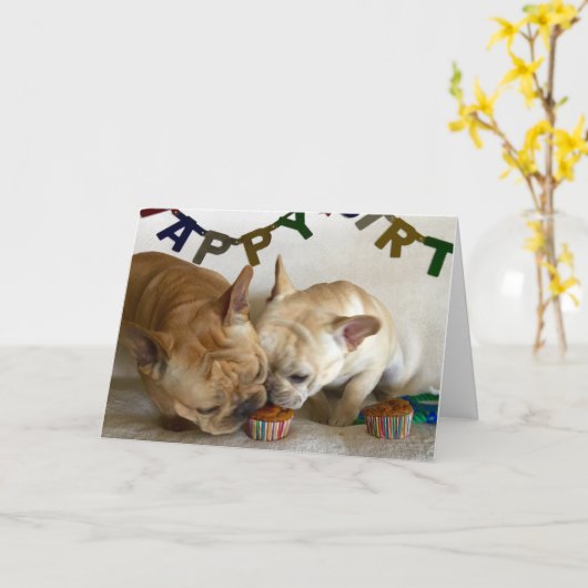 D&D誕生日カード カード (黄色い花)