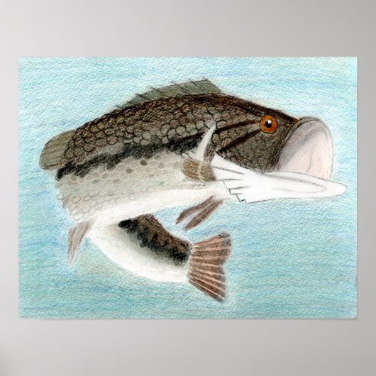 D. Gillettの入賞作品 – グレード9 ポスター (正面)