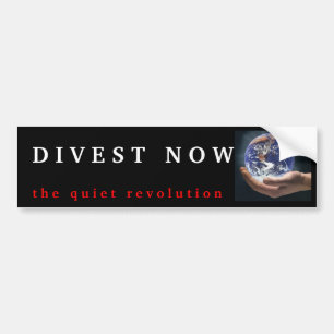 D I V E S T N O W バンパーステッカー