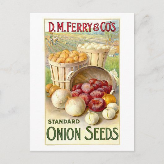 D.M.フェリー&株式会社ヴィンテージオニオンシード広告ズ ポストカード (正面)