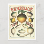 D.M.フェリー&株式会社ヴィンテージカニップシード広告ズ ポストカード (正面)