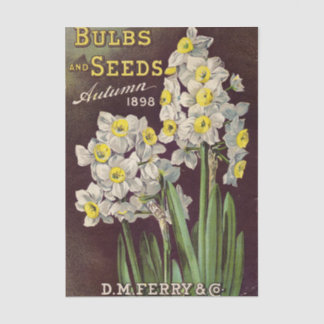 D.M. Ferry & Co. Autumn 1898 Vintage Seed Catalog 薄葉紙