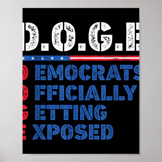 D.O.例えば、政府効率TのDoge部門 ポスター (正面)