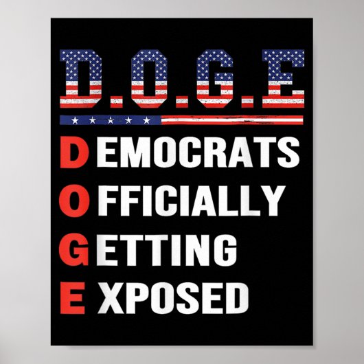 D.O.例えば、政府効率UのDoge部門 ポスター (正面)