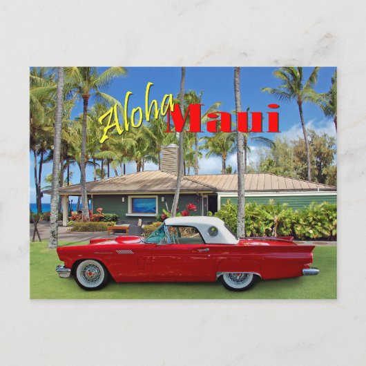 D.T.フリーミングビーチパーク ポストカード (正面)