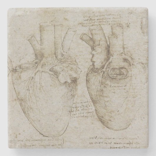 Da Vinciの人間のハートの解剖学 ストーンコースター (正面)