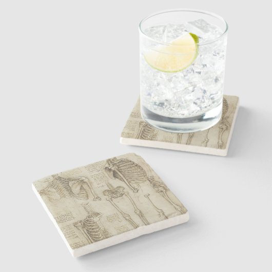 Da Vinciの人間の骨組解剖学のスケッチ ストーンコースター (横)