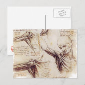 Da Vinci -- 肩のスケッチ ポストカード (正面/裏面)