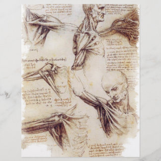 da Vinci -- Shoulder Sketch チラシ