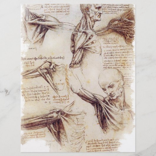 da Vinci -- Shoulder Sketch チラシ (正面)