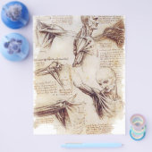 da Vinci -- Shoulder Sketch チラシ (シングル)