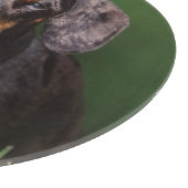 DachshandのDapple色のビュー カッティングボード (角)