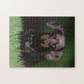 DachshandのDapple色のビュー ジグソーパズル (横)