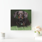 DachshandのDapple色のビュー スクエア壁時計 (ホーム)