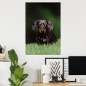 DachshandのDapple色のビュー ポスター (ホームオフィス)