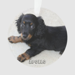 Dachshandクリスマスオーナメントアクリル追加フォト オーナメント