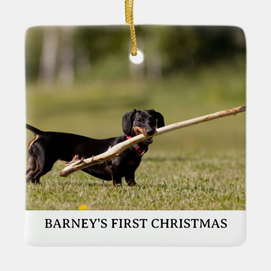 DACHSHAND初めてのクリスマス写真名年 セラミックオーナメント (正面)
