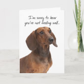 Dachshand Get Well Card カード (正面)