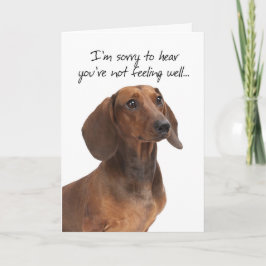 Dachshand Get Well Card カード