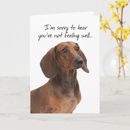 Dachshand Get Well Card カード (黄色い花)