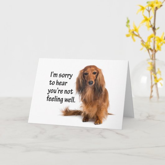 Dachshand Get Well Card カード (黄色い花)