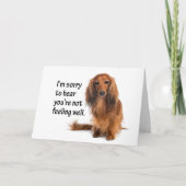 Dachshand Get Well Card カード (正面)