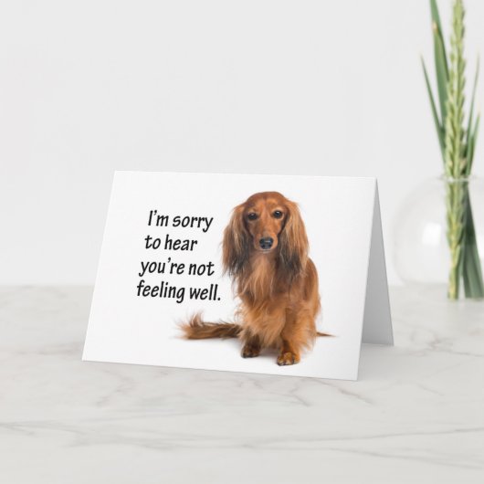 Dachshand Get Well Card カード (正面)