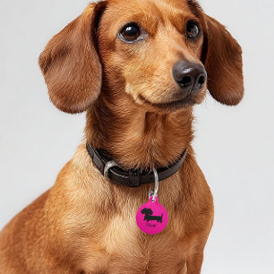 Dachshand IDドッグタグピンクパーソナライズされた色 ペット　ネームタグ
