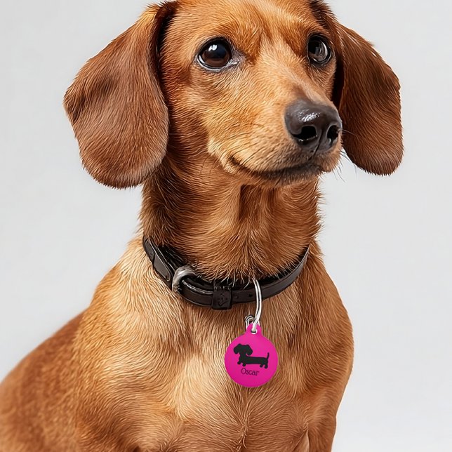 Dachshand IDドッグタグピンクパーソナライズされた色 ペット　ネームタグ (Wiener dog ID dog tag)