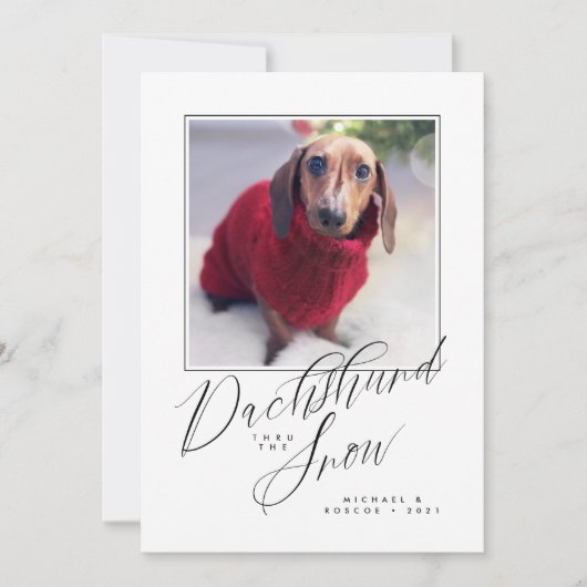 DACHSHAND THRU THE SNOW写真を追加 (正面)