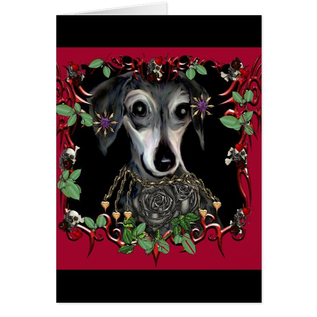 Dachshoundのウィーナー犬 (正面)