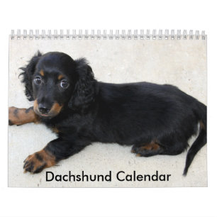 Dachshundカレンダー2023パーソナライズされたの写真 カレンダー