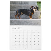 Dachshundカレンダー2025写真あり カレンダー (1月 2027)