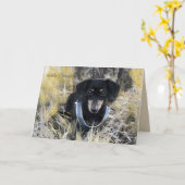 Dachshundグリーティングカード カード (黄色い花)