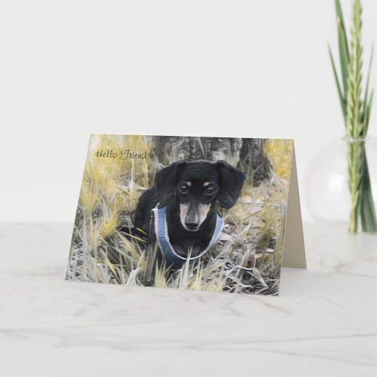 Dachshundグリーティングカード カード (正面)