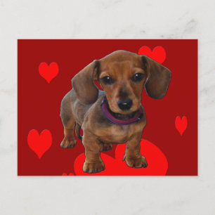 DACHSHUND子犬とハート ポストカード