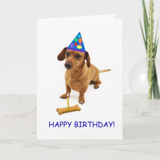 Dachshund誕生日カード(フォーカス別) カード (正面)