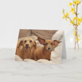 Dachshund誕生日カード(フォーカス別) カード (黄色い花)