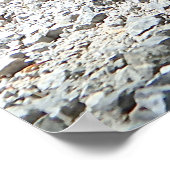 Dachshund ポスター (角)