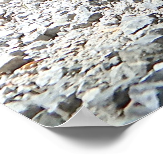 Dachshund ポスター (角)