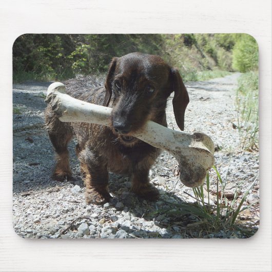 Dachshund マウスパッド (正面)