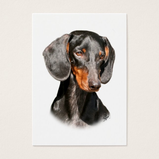 Dachshund 9Y420D-096a (正面)