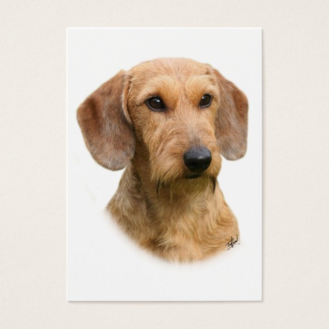 Dachshund 9Y426D-207-2 (正面)