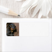 dachshund-blackとtan love w pic ラベル (インサイチュ)