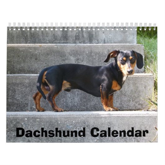 Dachshund Calendar 2016写真の追加 カレンダー (カバー)