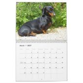 Dachshund Calendar 2023写真の追加 カレンダー (3月 2027)