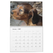 Dachshund Calendar 2023写真の追加 カレンダー (1月 2027)